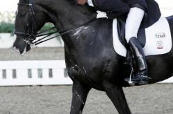 开云体育-关于荷兰选手取得体操冠军，闪光表现打动观众的信息