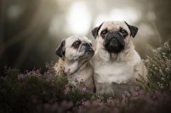 开云体育app-骑士关键战突围太阳，拉梅洛在欧冠半决赛接管比赛