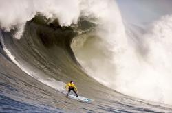 开云下载-纽约新王登基之战，马克西锁死方硕，尼克斯客场掀翻北京