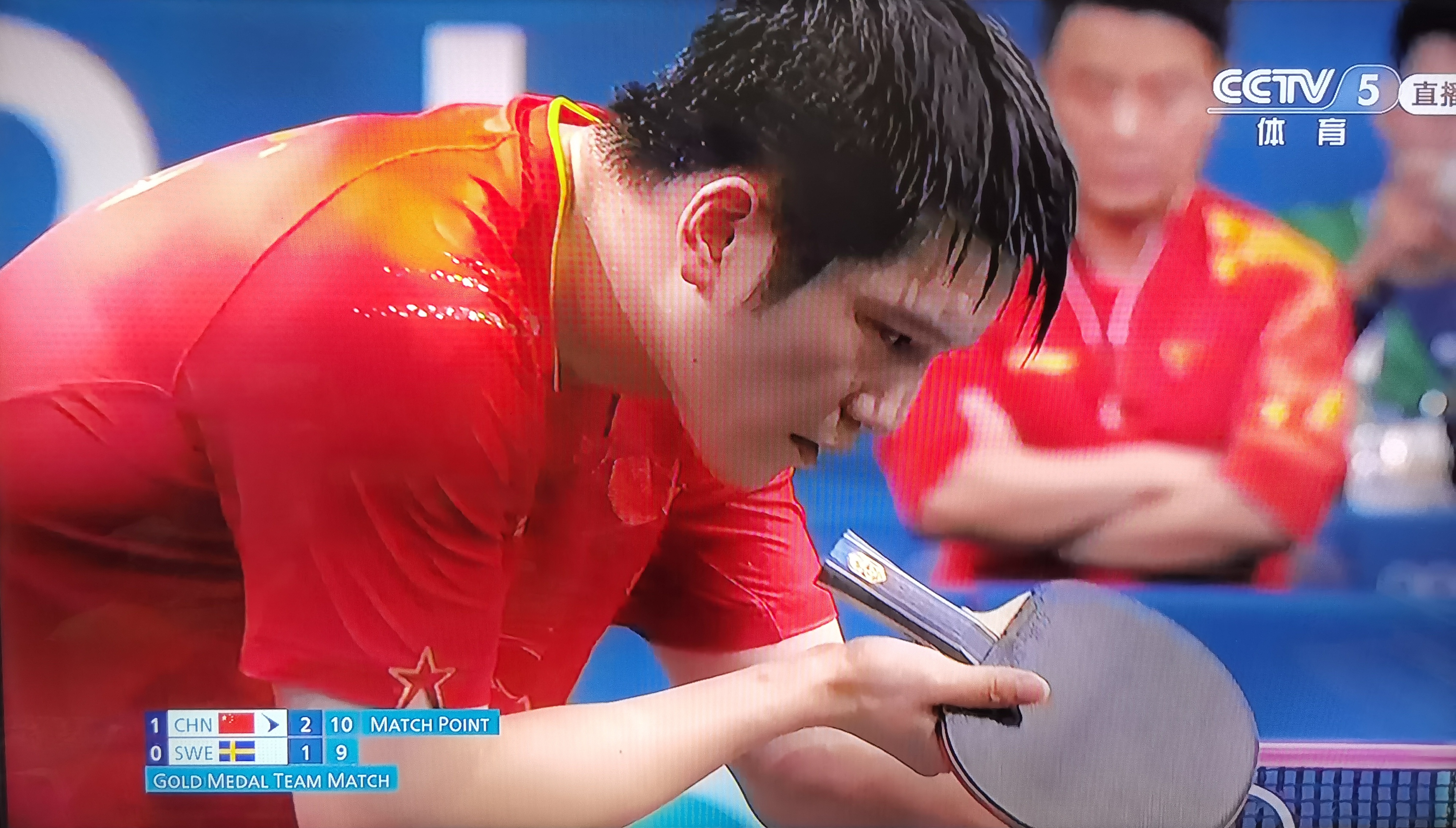 日本乒乓球队爆冷瑞典乒乓球队，樊振东关键制胜的简单介绍