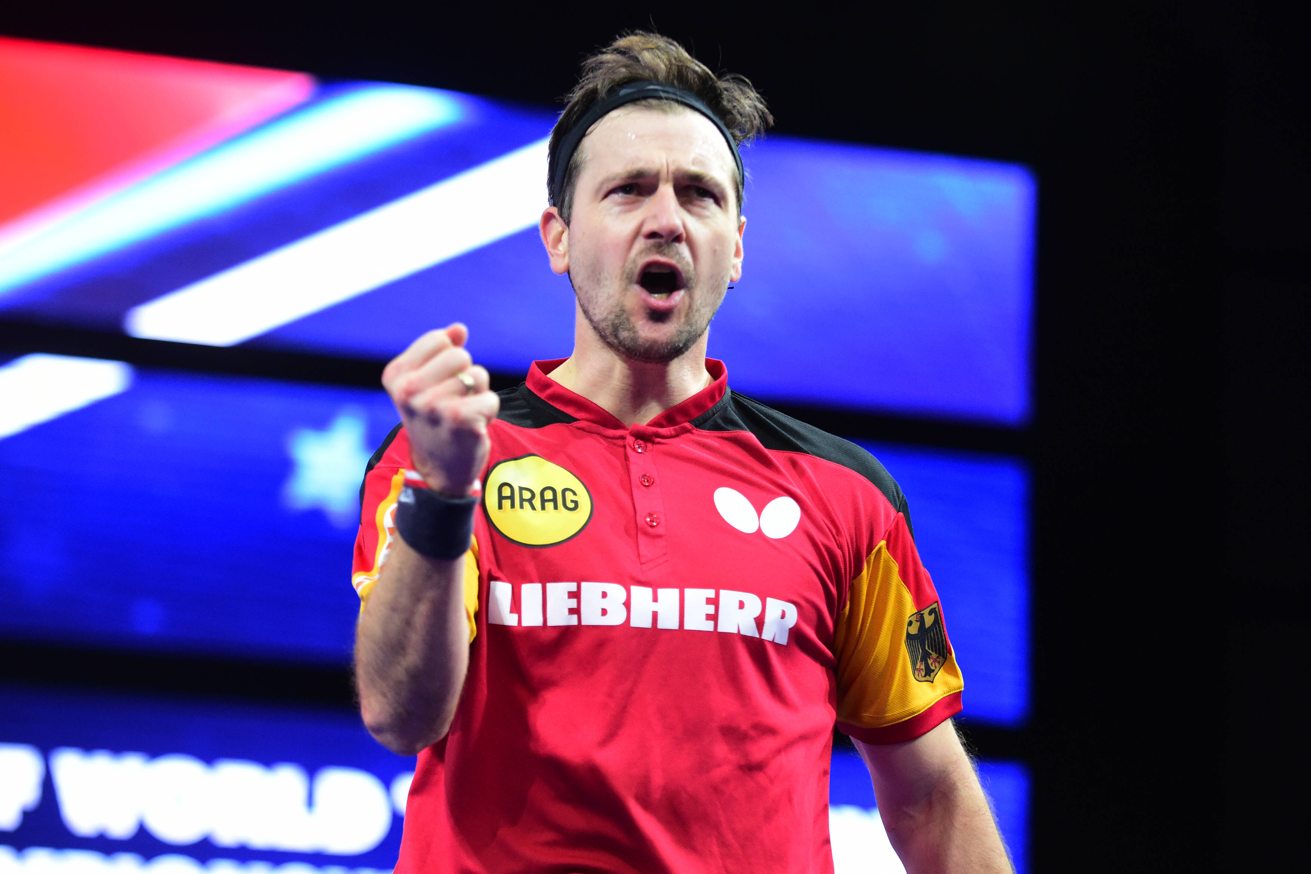 日本乒乓球队强势波兰乒乓球队，波尔高光表现的简单介绍