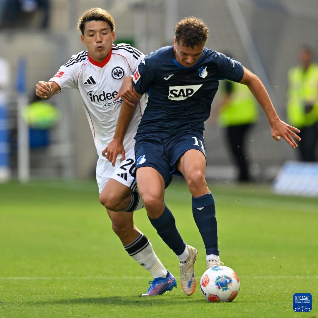 关于霍芬海姆迎战法兰克福,斗志昂扬要拿下三分的信息 关于霍芬海姆迎战法兰克福,斗志昂扬要拿下三分的信息