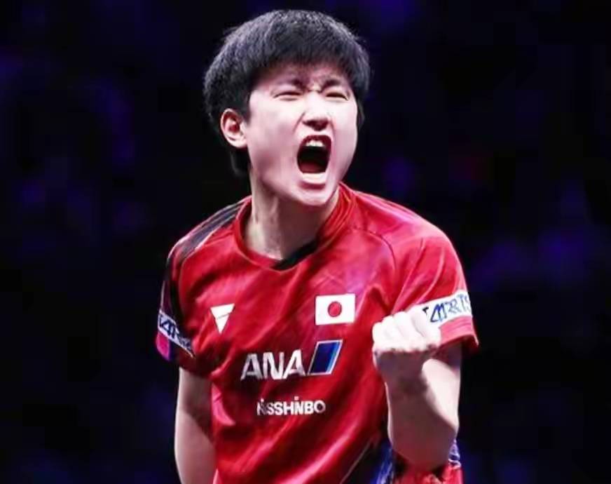 日本乒乓球队血洗英国乒乓球队，张本智和打破历史纪录的简单介绍